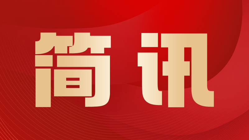 全國人大代表在兩會