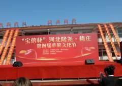 搭上寶信便車  一路走紅的梅莊國紅蘋果