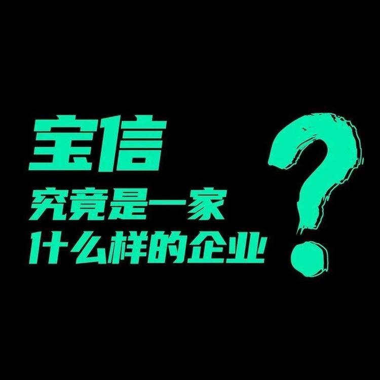 寶信究竟是一家什么樣的企業？